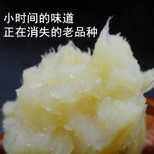 老品种白心红薯山东沙地新鲜现挖番薯红皮农家自种软糯甜包邮5斤