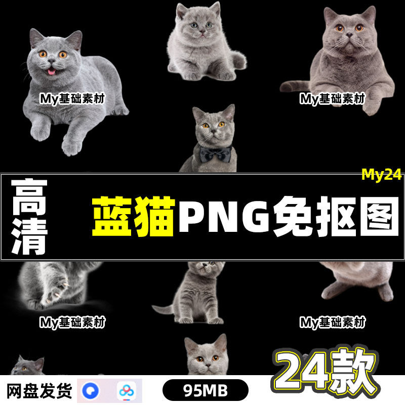 高清蓝猫宠物可爱猫咪动物PNG透明免抠图片PS海报设计素材文件包