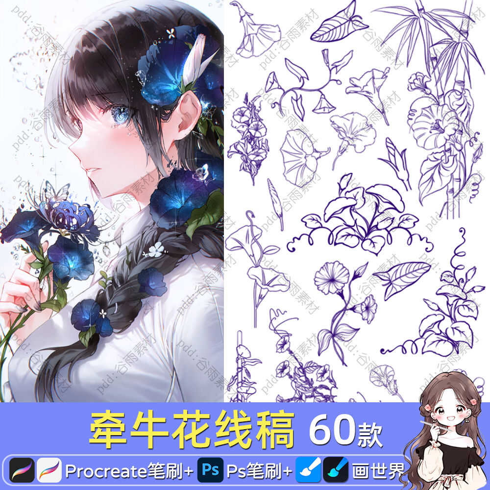 ps画世界pro笔刷牵牛花线稿练习花卉植物花朵手绘procreate素材