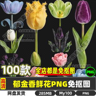 高清郁金香草麝旱荷花洋荷花洋水仙鲜花免抠图片海报设计商用素材