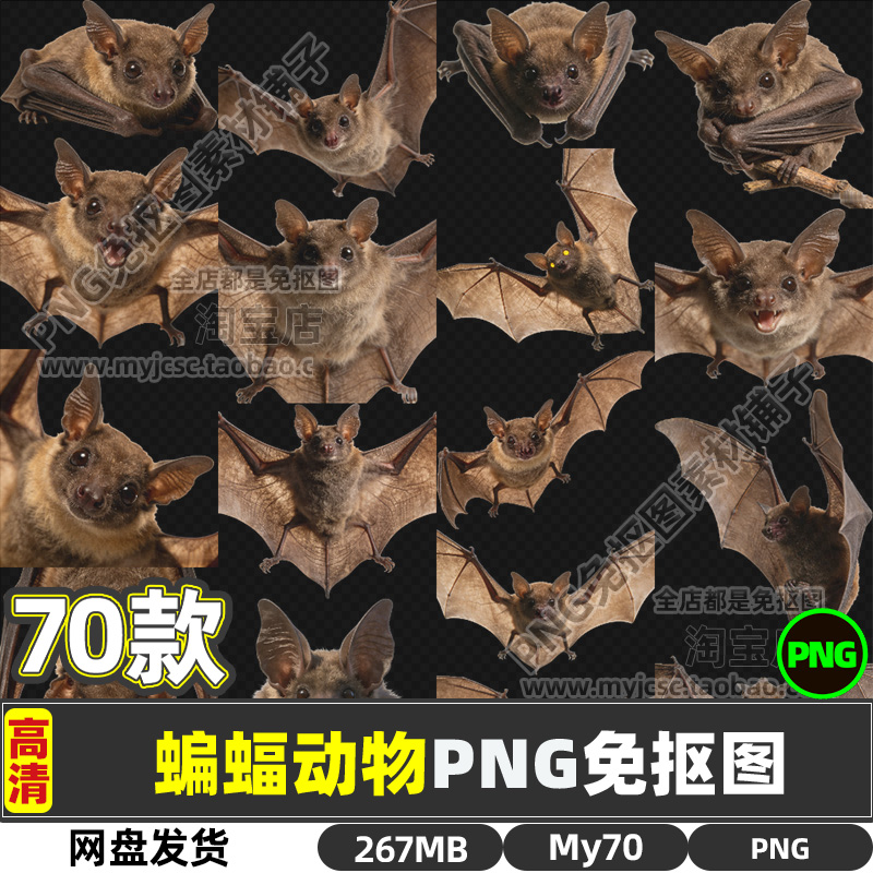 高清蝙蝠动物生物PNG透明免抠图片海报设计素材打印喷绘文件商用