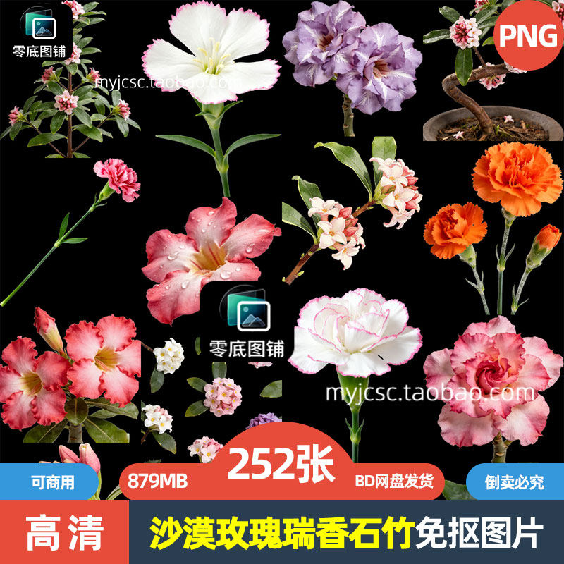 高清沙漠玫瑰瑞香石竹花卉鲜花植物海报设计商用免抠图片喷绘素材