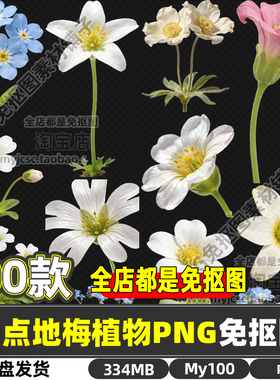 高清点地梅喉咙草药材中药草药植物免抠图片海报设计商用打印素材