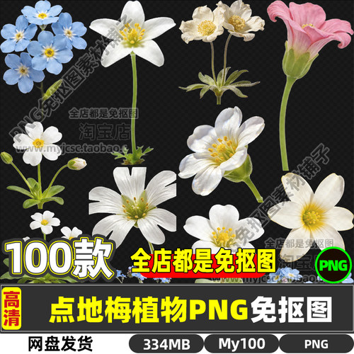 高清点地梅喉咙草药材中药草药植物免抠图片海报设计商用打印素材