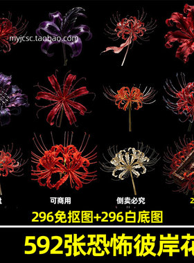 高清恐怖红色彼岸花老死不相往来手绘插画原创透明免抠图片可商用