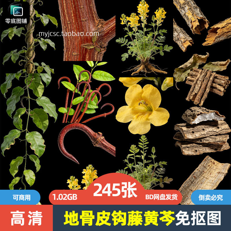 高清地骨皮钩藤黄芩药材中药草药植物海报设计可商用免抠图片素材