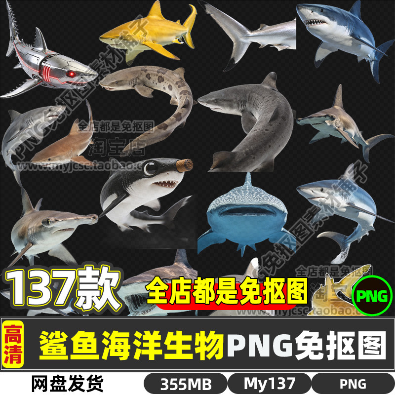 高清大白鲨锤子鲨鱼虎鲨海洋生物动物PNG透明免抠图片可商用素材