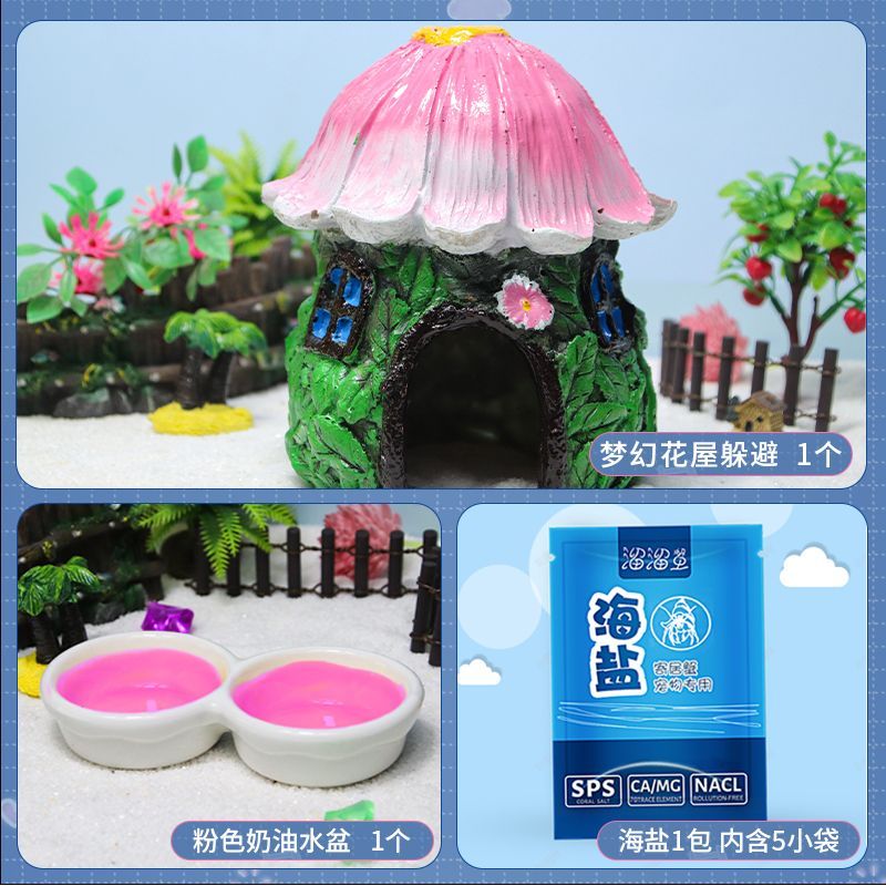 寄居蟹躲避屋梦幻花屋躲避