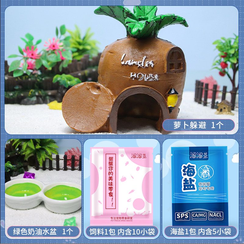 萝卜寄居蟹躲避屋森林珊瑚