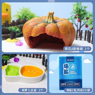 大南瓜躲避屋森林珊瑚椰壳爬虫树桩洞爬宠箱造景摆件菠萝屋攀爬物