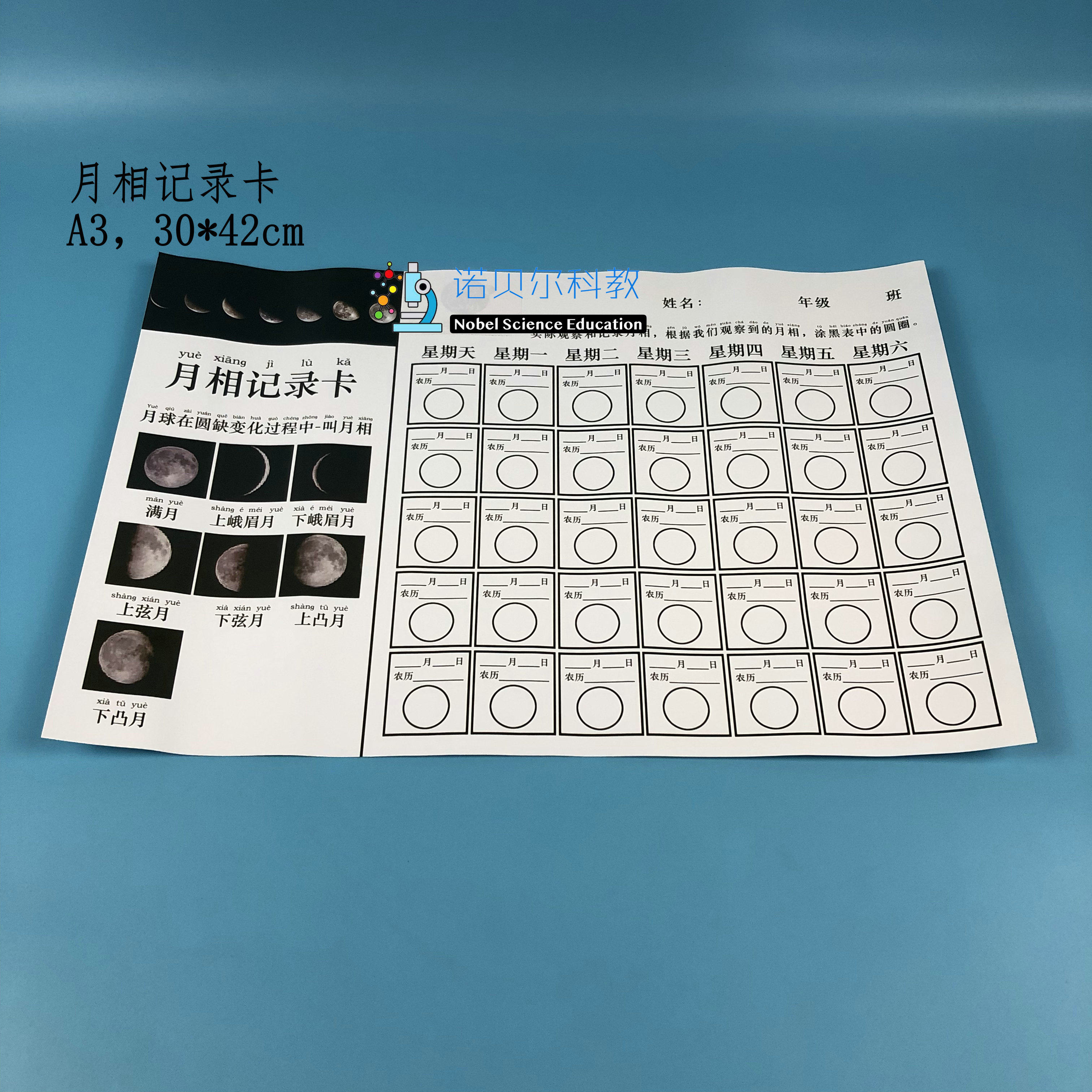 月相记录卡*观察月相*热爱牛顿小学科学实验器材*a3月相记录卡