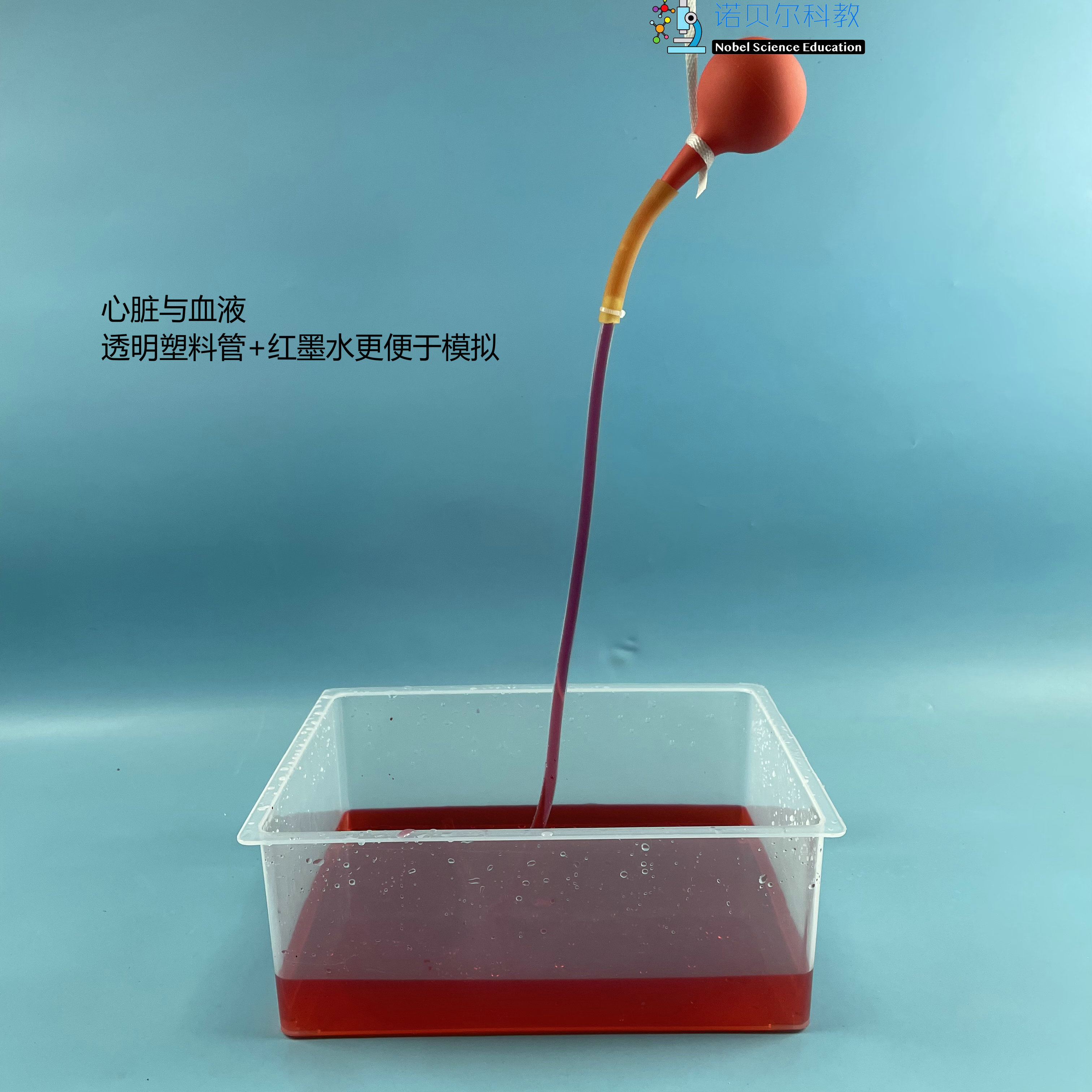 诺贝尔科教模拟心脏实验材料