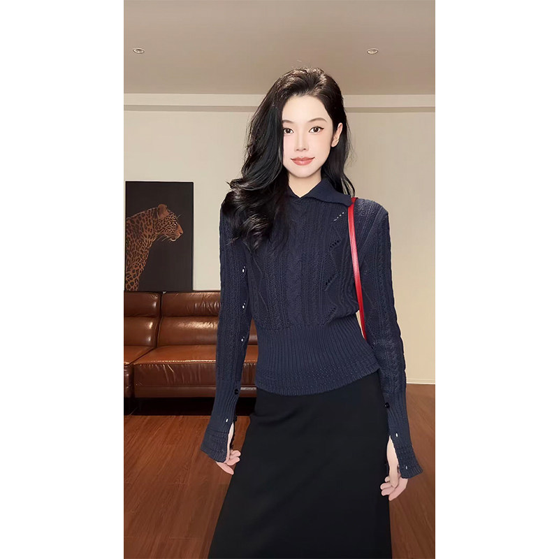 法式高级感洋气气质收腰显瘦百搭长袖翻领套头麻花针织衫毛衣女冬