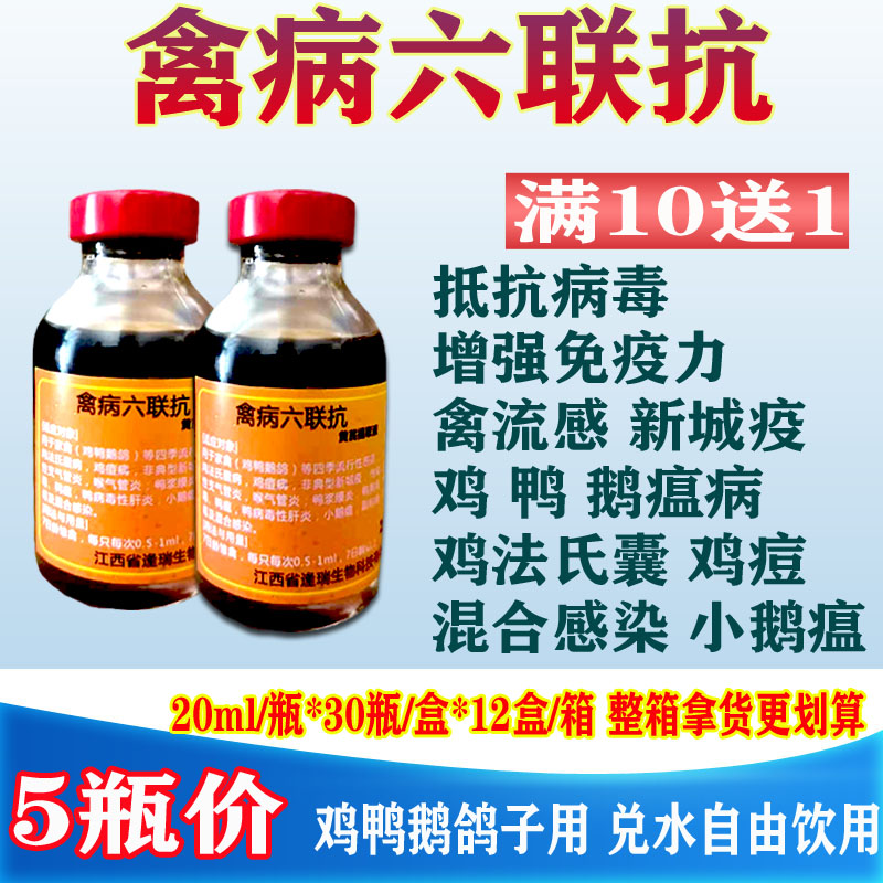 禽药禽病六联抗鸡药抗病毒预防禽流感新城疫法氏囊鸡瘟霍乱小鹅瘟