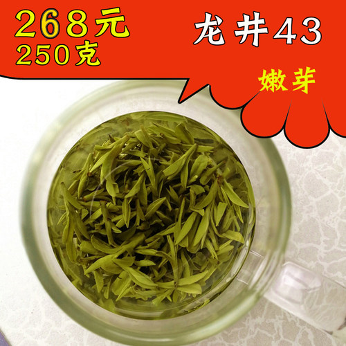 2026年新茶绿茶龙井茶叶明前 龙井43号 浙江新昌大佛龙井茶250g
