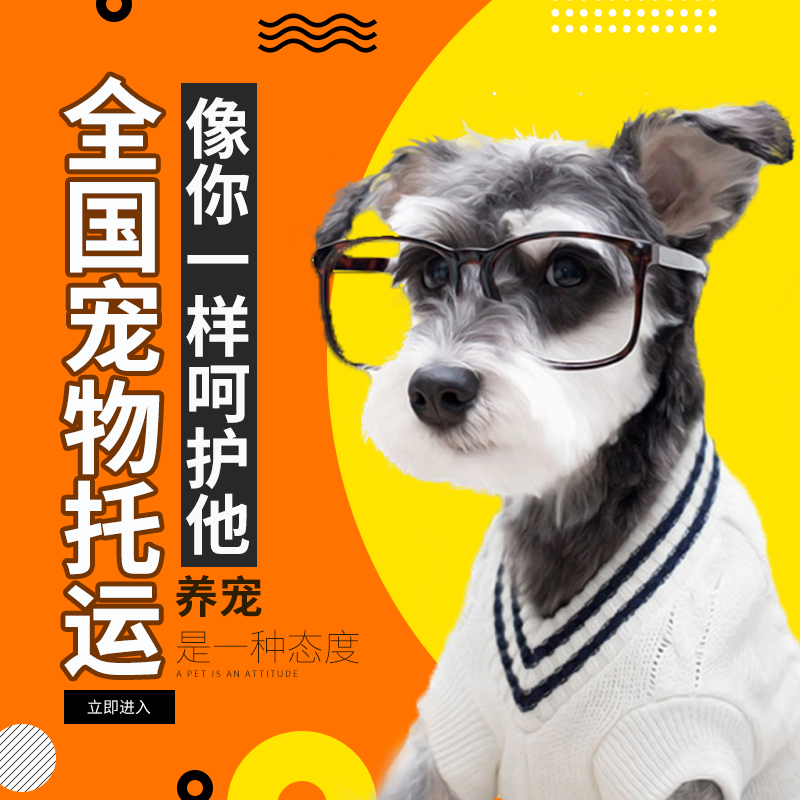 Pet shippers The door service Beijing Shanghai Guangzhou Shenzhen Cats and dogs Air transport Land transportation Automotive train transportin the Pet/Pet food and supplies , Pet Life Services , Pet shippers  category - from Buy2taobao.com to provide professional Taobao agent buy service
