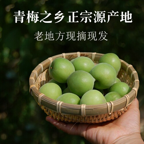 够酸！新鲜青梅脆口大青梅白梅红梅青竹梅泡酒酵素腌制 产地直销