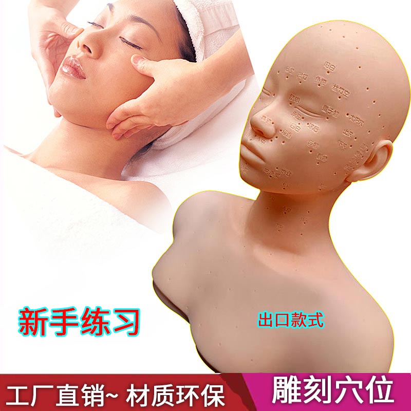 面部穴位仿真手感柔软包邮模特头