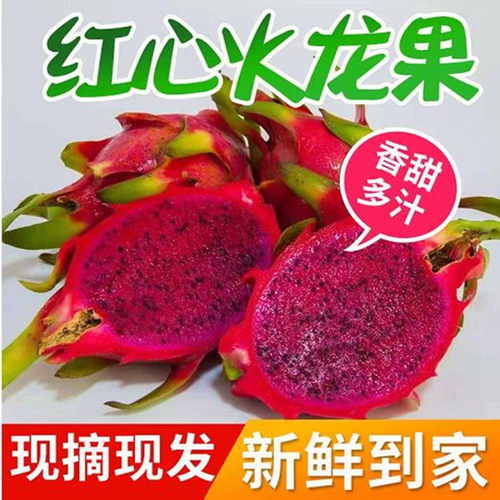 贵州罗甸火龙果当季现摘鲜果