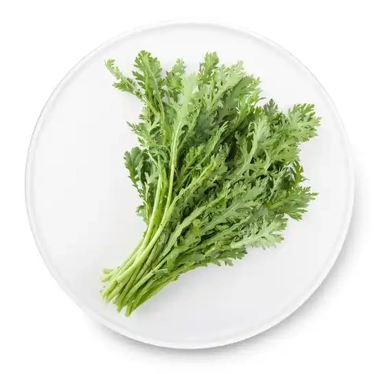秋茼蒿新鲜茼蒿黄帝菜蒿子秆时令蔬菜清香解腻火锅时鲜蔬菜秋湾