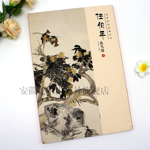 繪畫臨摹范本傳統國畫人物臨摹任伯年畫集大學美術教材藝術繪畫書籍 經典 繪畫臨摹范本 任伯年花鳥篇五 安徽美術 雙面印刷