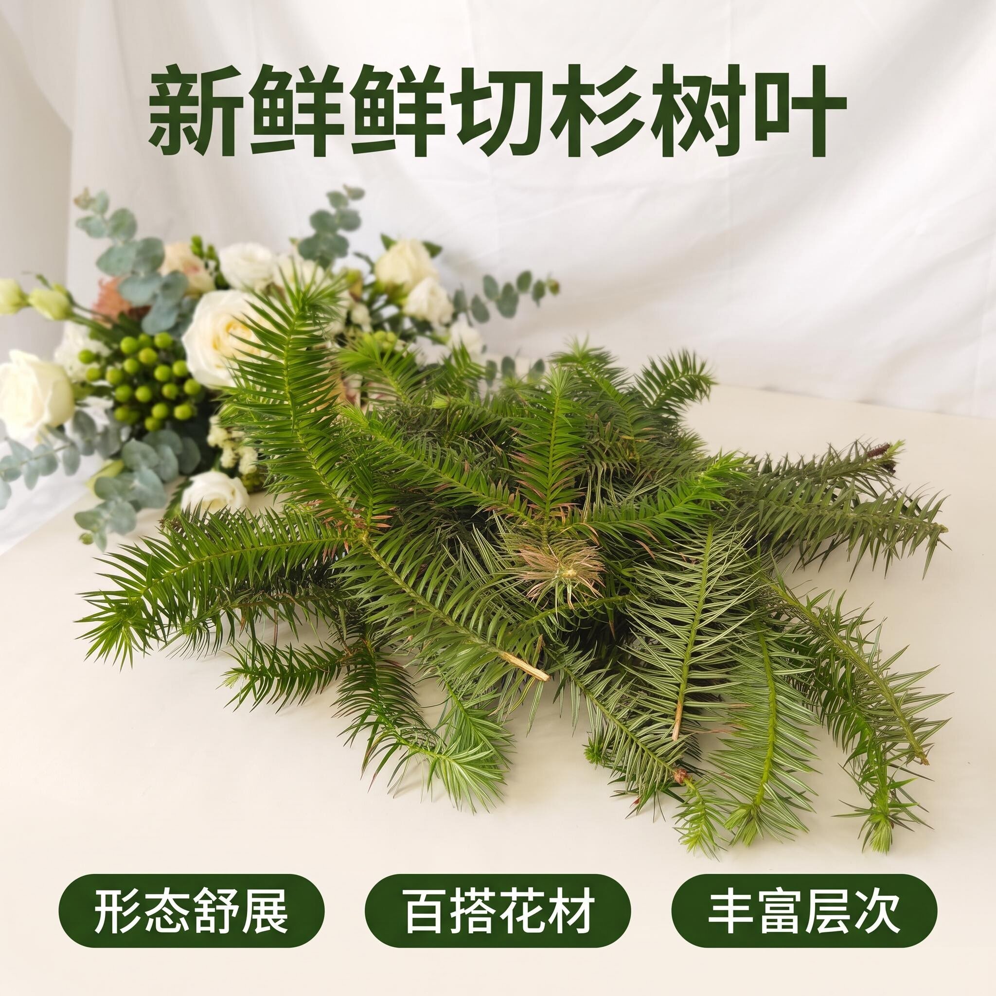 新鲜杉树叶民宿造景拍摄装饰干花