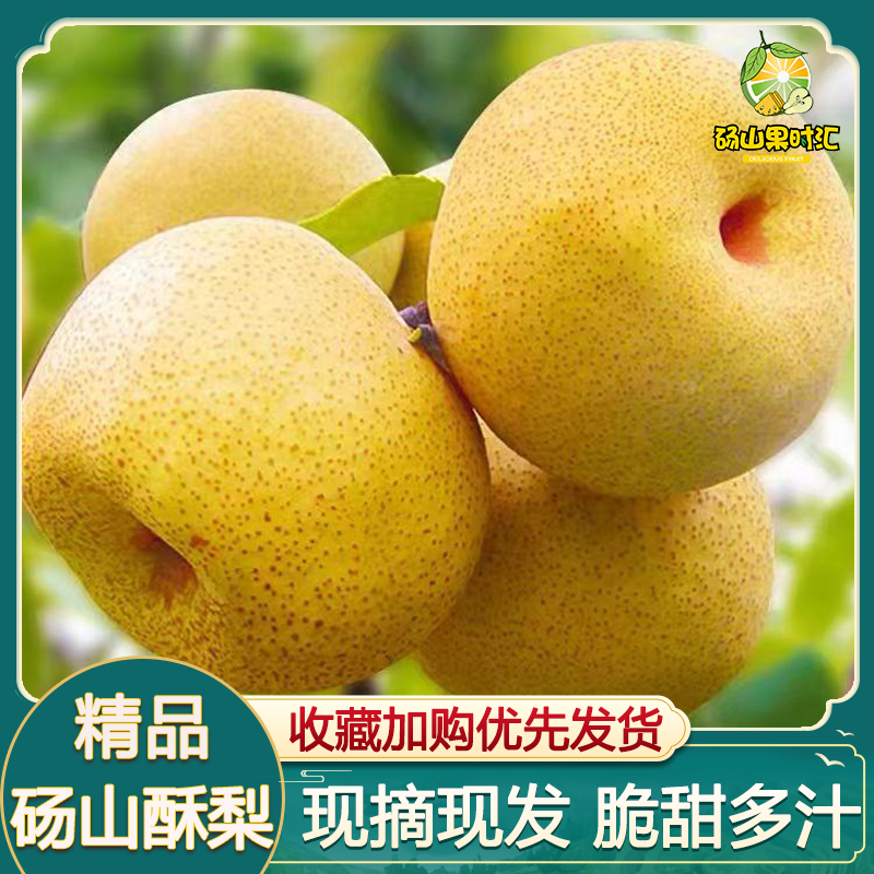 雪梨梨子现摘啤梨脆甜多汁