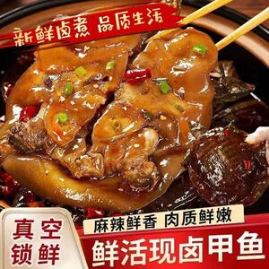 大个即食麻辣甲鱼现卤现发五香甲鱼老鳖水鱼真空包装卤味熟食零食