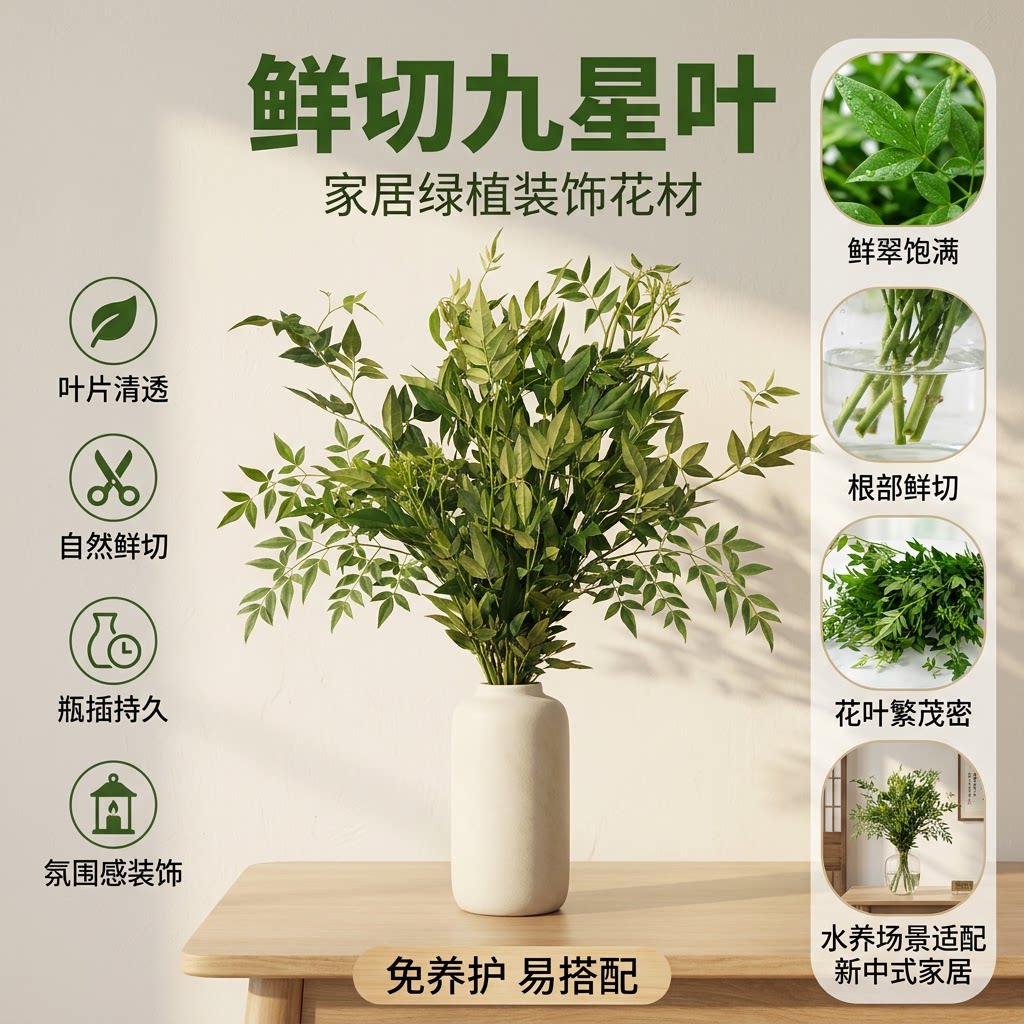 九星叶鲜花10支云南直发顺丰包邮图片