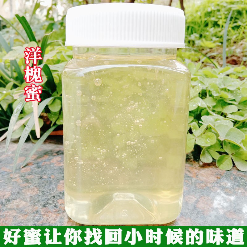 纯正天然野生洋槐蜜1斤 农家自产陕西延安峰蜜秦岭正宗儿童槐花蜜