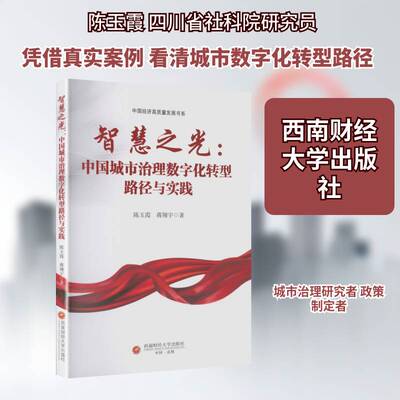 智慧之光:中国城市治理数字化转型路径与实践陈玉霞 书籍正版西南财经大学出版社