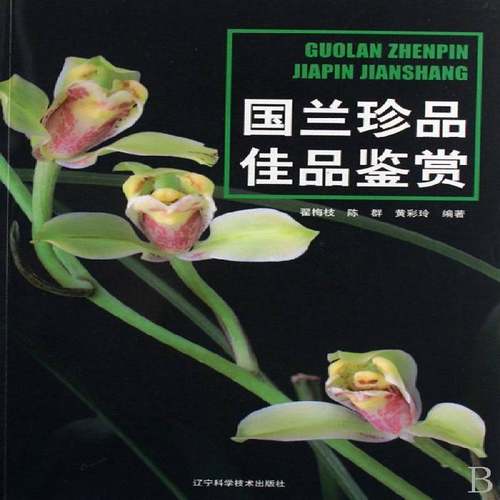 国兰珍品佳品鉴赏 书 翟梅枝辽宁科学技术出版社兰科花卉鉴赏图集农业、林业书籍