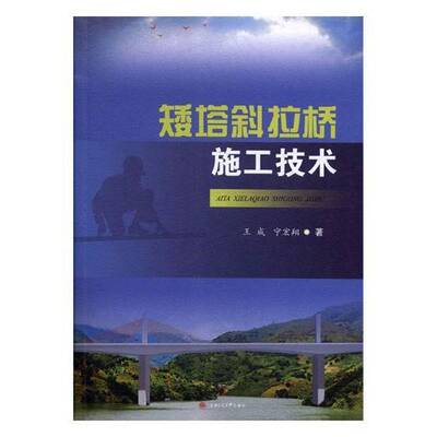 矮塔斜拉桥施工技术王成斜拉桥桥梁施工书籍正版西南交通大学出版社