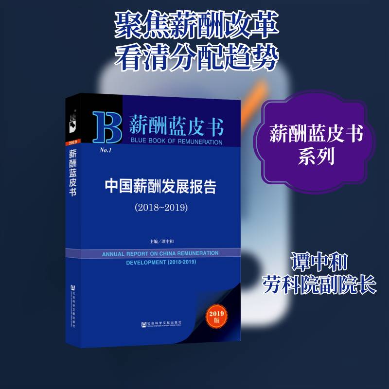 中国薪酬发展报告:2018-2019:2018-2019 谭中和 劳动报酬研究报告中国各级部门决策人员管理书籍社会科学文献出版社