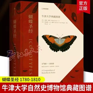 蝴蝶圣经 牛津大学典藏图谱 理查德文赖特等著 牛津大学自然史博物馆典藏图谱 涵盖1600幅画作856个物种 中信正版xj