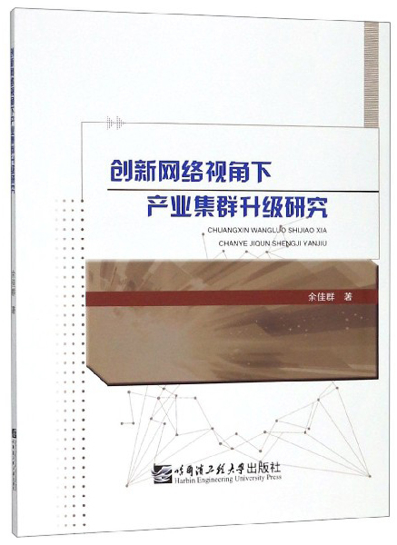 正版包邮创新网络视角下产业集群升级研究余佳群书店计算机理论书籍