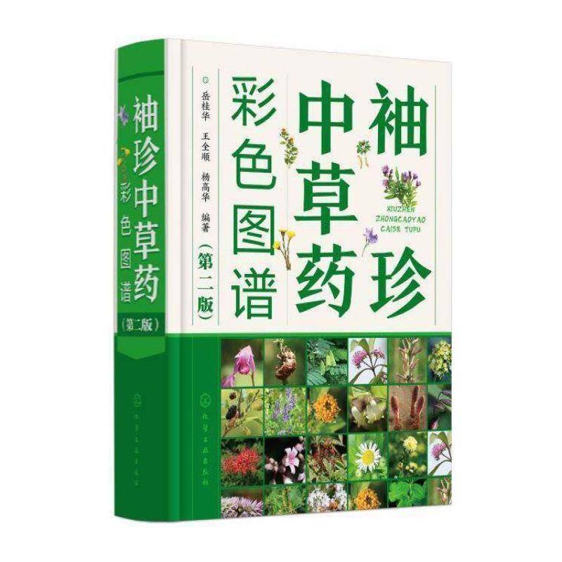 袖珍中草药彩色图谱 岳桂华 中草药图谱普通大众医药卫生书籍化学工业出版社