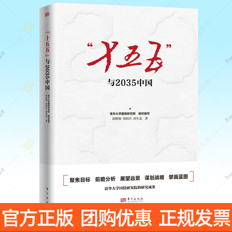 十五五与2035中国 清华大学国情研究院 十五五规划2035远景目标研究智库版用数据说话聚焦目标前瞻分析远景展望参考书籍