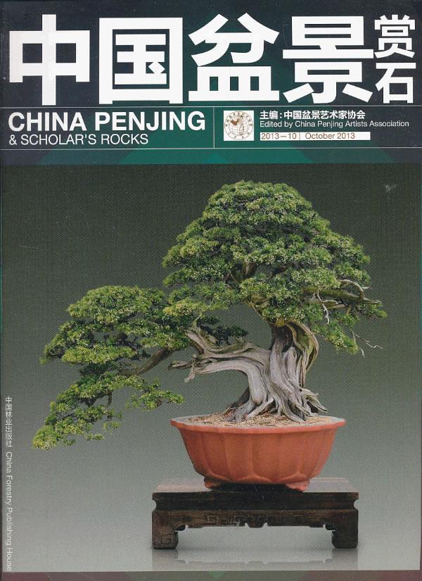 正版中国盆景赏石:2013-10中国盆景艺术家协会书店生活休闲中国林业出版社书籍 读乐尔畅销书