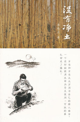 正版包邮 没有净土 李晓岚 著 在物欲横流人心浮躁的时代，到哪里去寻找我们心中的那一片净土 作家出版社