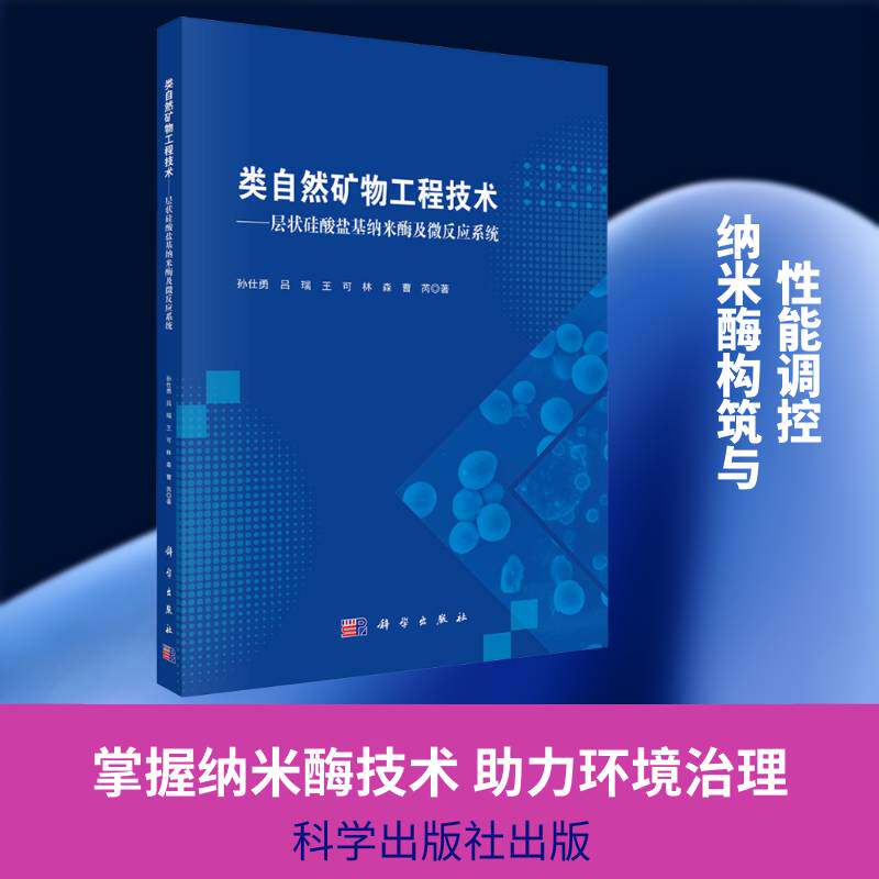 类自然矿物工程技术:层状硅酸盐基纳米酶及微反应系统 孙仕勇 地质学矿物学环境科学领域的科研自然科学书籍科学出版社