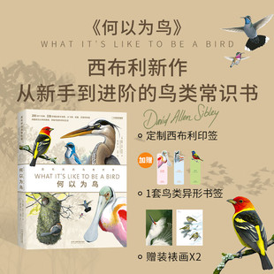 何以为鸟西布利的鸟类世界 200余个常见鸟种或类群介绍鸟类生活当代观鸟画鸟大师西布利全新画册 识鸟辨鸟指南湖南科学技术出版社