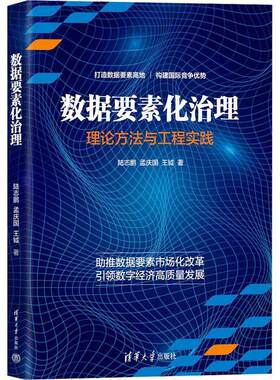 数据要素化治理（理论方法与工程实践） 陆志鹏     工业技术书籍正版
