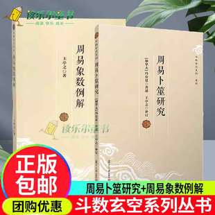周易象数例解+周易卜筮研究 斗数玄空系列 易学 周易占卜研究相关书籍 复旦大学出版社 正版书籍
