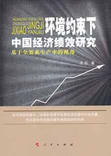 中国经济概况 环境约束下中国经济绩效研究 兵 视角 书籍 基于全要素生产率