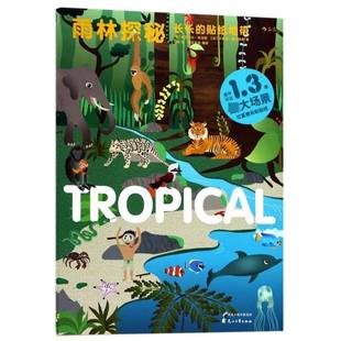 长长的贴纸地带:雨林探秘伊莎贝尔·托马斯智力游戏儿童读物书籍正版花山文艺出版社