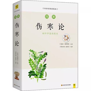 图解伤寒论 白话文彩插典藏版伤寒论张仲景正版原著伤寒杂病论解说辑义六经辨证论治伤寒学 食疗大全养生智慧中医基础理论书籍大全