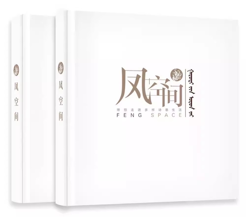 正版包邮 凤空间 王凤波 室内设计作品 住宅别墅酒店办公会所装修设计书籍 汇集北京王凤波装饰设计有限公司的40多个经典作品