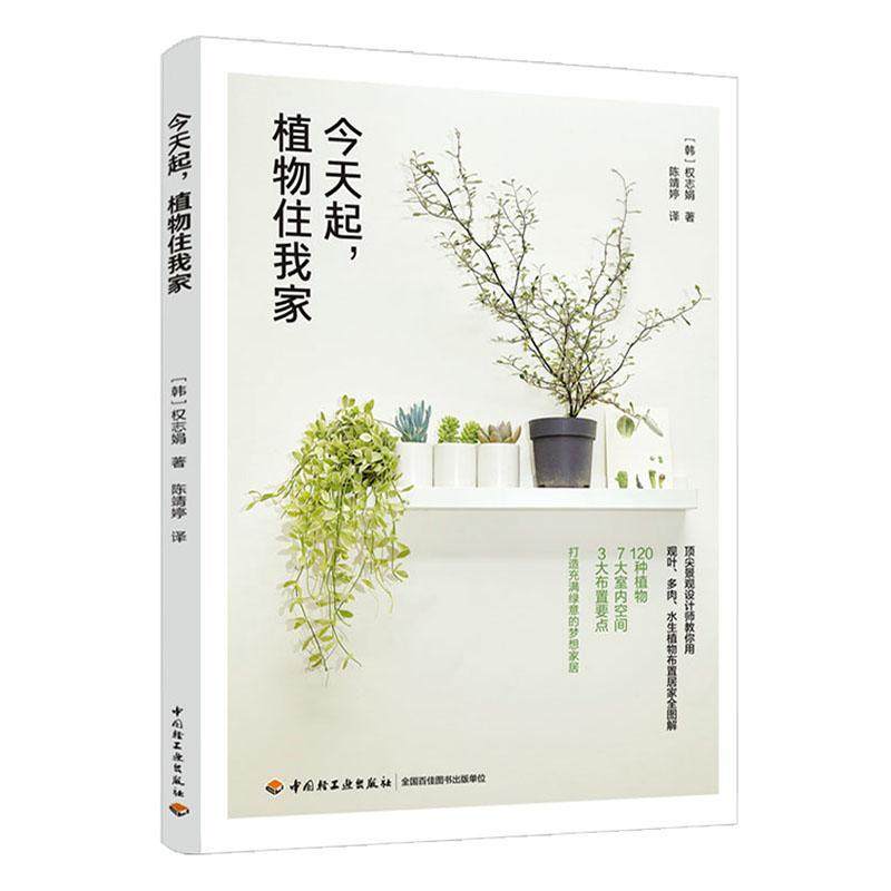 多肉花园设计多少钱 多肉花园设计优惠券免费领取 有条鱼