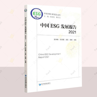 王大地 2021 中国ESG研究院文库 ESG披露标准评价指标评价方法esg数据课程报告 esg投资书籍 正版 esg理论与实务 中国ESG发展报告